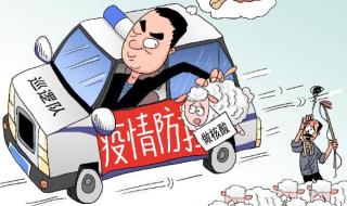 官方通报羊被牵走做核酸