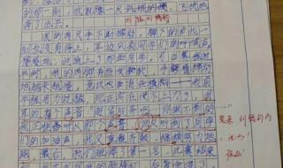 我的心儿怦怦跳作文四年级