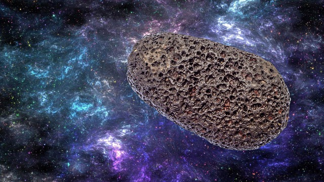 变量1词条二二变量2词条二二变量3词条四 p1