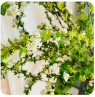 公务员考试网（公务员考试网官网成绩查询）