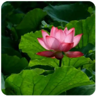 冷水江市地图（湖南冷水江市地图）