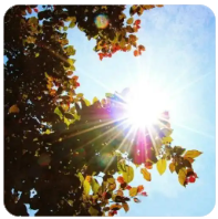 骏逸汽车（骏逸汽车服务吴中路店怎么样啊）