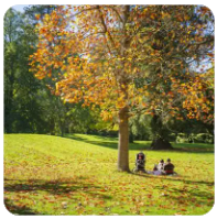 番茄炒蛋的做法视频（番茄炒蛋怎么做的视频）