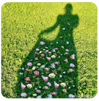 比亚迪小汽车报价（续航600km10万左右纯电车推荐）