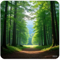 骏逸汽车（骏逸汽车服务吴中路店怎么样啊）