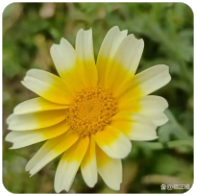 昂立少儿英语（英孚教育少儿英语）