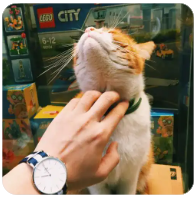 温州天气预报（温州天气预报15天）