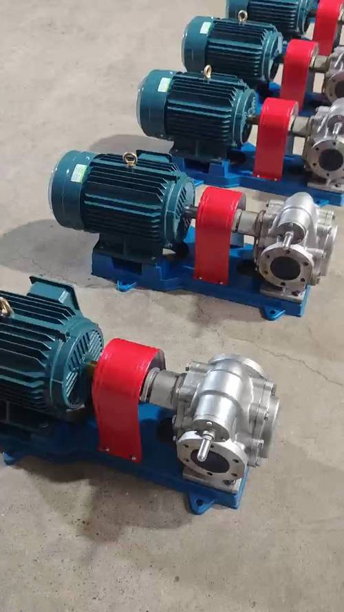 不锈钢外润滑齿轮泵（不锈钢齿轮油泵品牌）