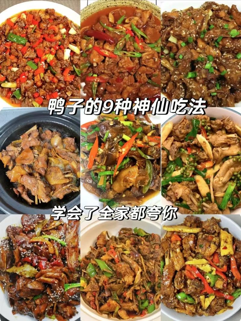 鸭子的做法（鸭子的做法有哪几种）