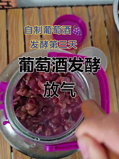 葡萄酒的做法视频（如何做葡萄酒步骤视频）