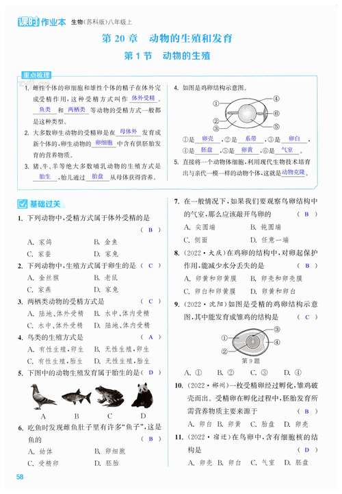科学作业本八下答案（初中八年级下册科学作业本答案）