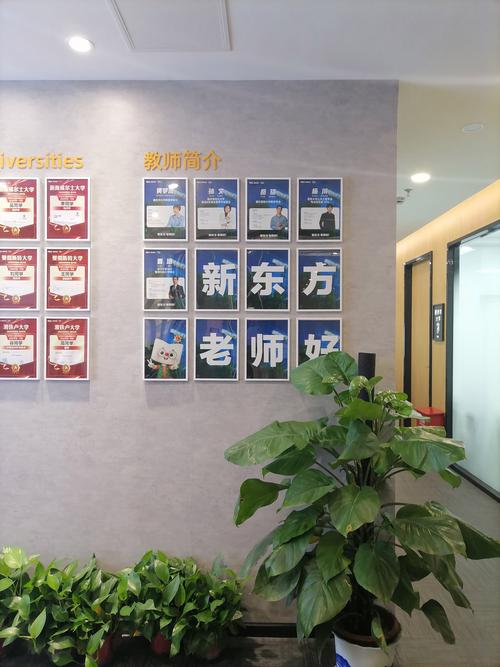 新东方英语培训（新东方英语培训机构怎么样）