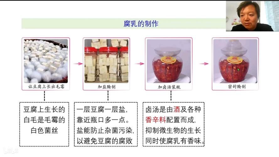 腐乳的做法（腐乳的做法 详细步骤视频）