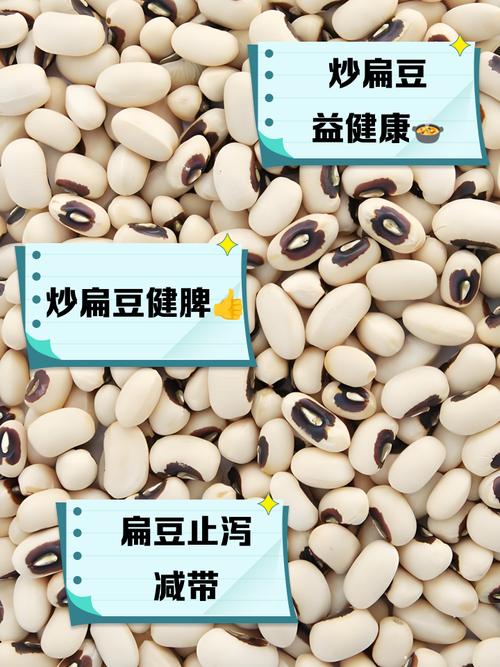 白扁豆的做法（白扁豆的做法最简单）