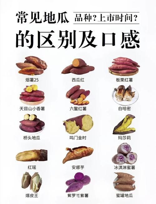 红薯的多种做法大全（红薯的几种好吃做法）