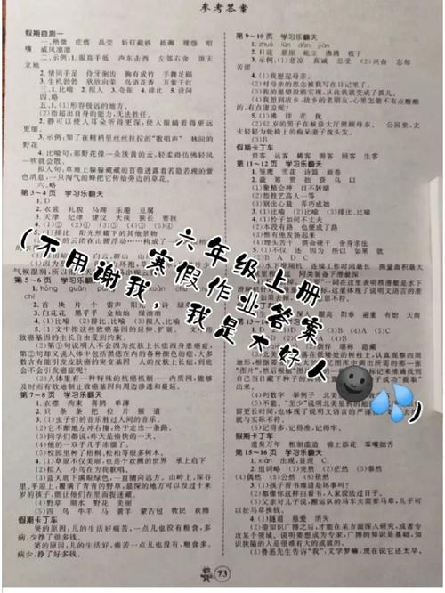 小学六年级寒假作业答案（小学六年级寒假作业答案2026湖北潜江）