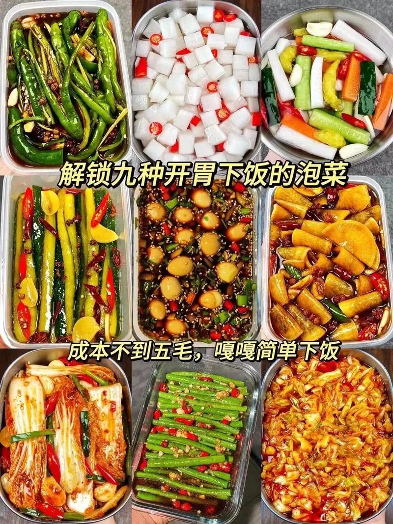 泡菜的做法（泡菜的做法大全家常）