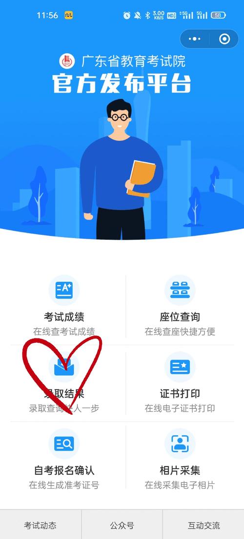 录取查询（高考录取查询）