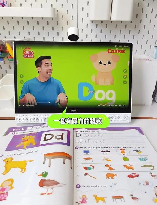 英语学习视频网站（学英语的视频网站）