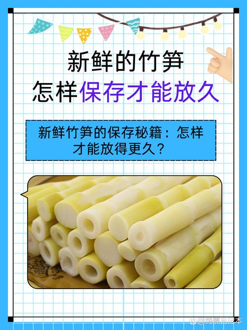 新鲜竹笋的做法（新鲜竹笋的做法大全）