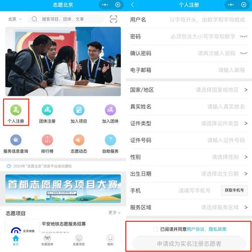 网上报名入口网上报名网址（网上报名服务平台）