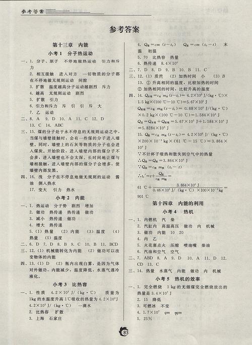 九年级上册物理练习册答案（九年级上册物理高分突破答案）