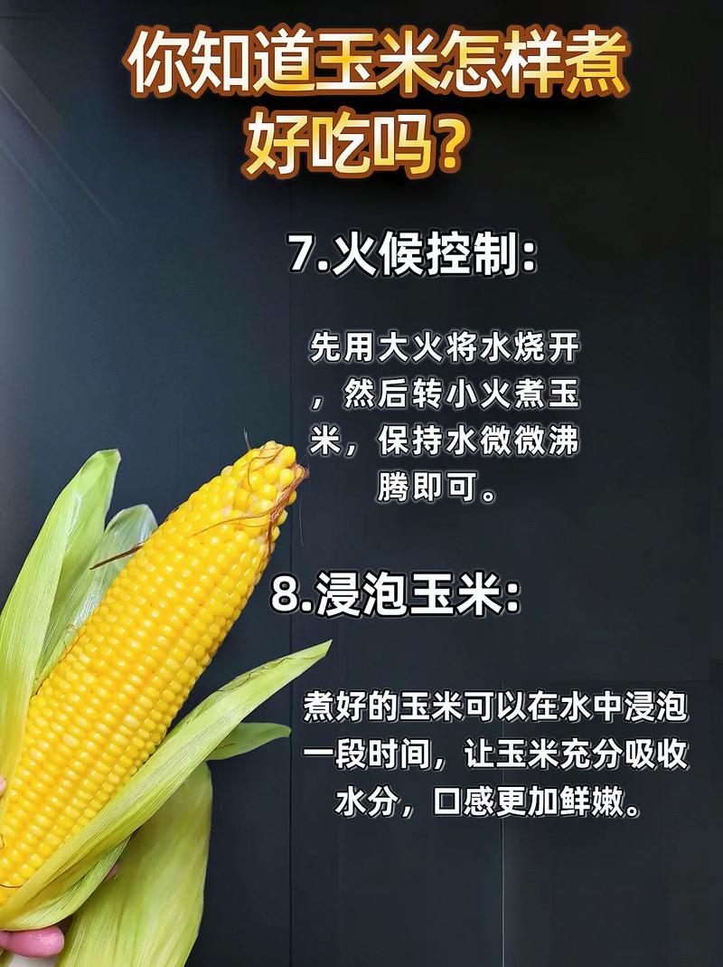 玉米的做法（玉米的做法有哪些）