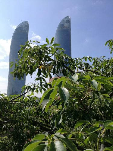 厦门天气（厦门天气思明区）