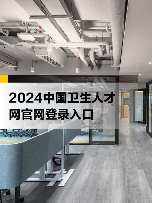 中国卫生人才网官网（中国卫生人才网）