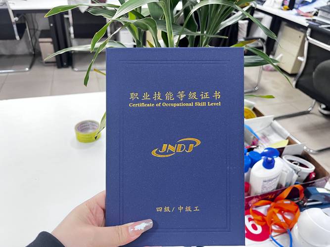 四级成绩查询入口（四级成绩查询入口官网2026）