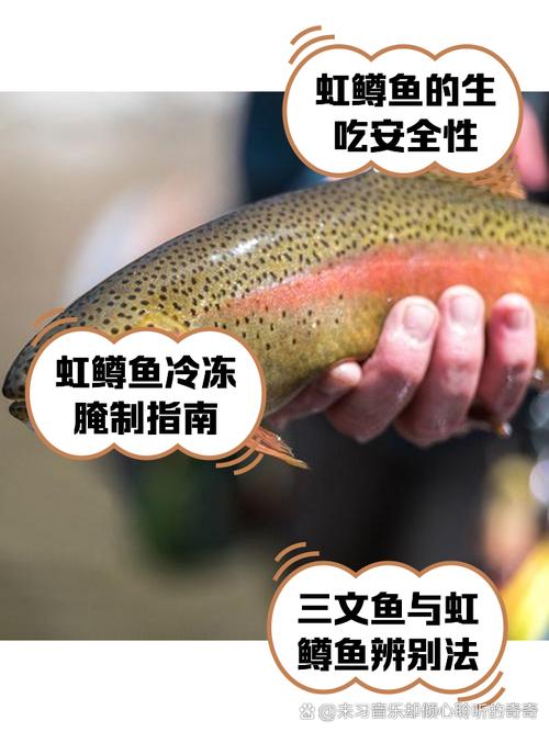 虹鳟鱼的做法（虹鳟鱼的做法和步骤）