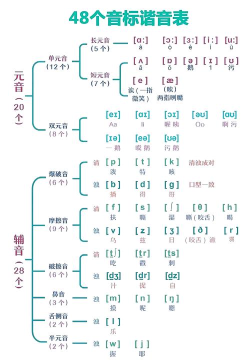 英语辅音音标发音（英语辅音音标发音口型）