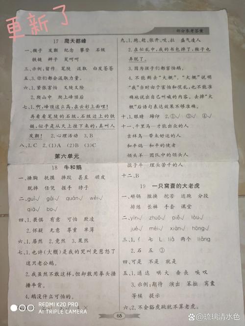 四年级上册语文寒假作业答案（小学四年级上册语文寒假作业答案2021）