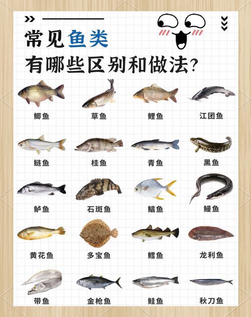 淡水鱼的做法（淡水鱼的做法大全）