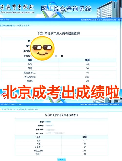 成人高考成绩查询入口（往届成人高考成绩查询入口）